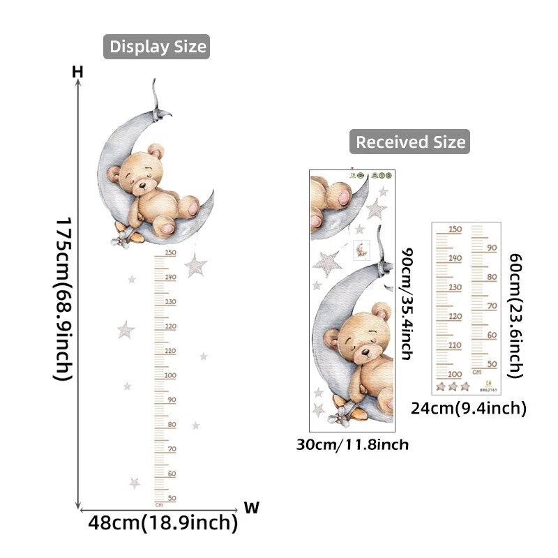 Baby Teddy Growth Chart